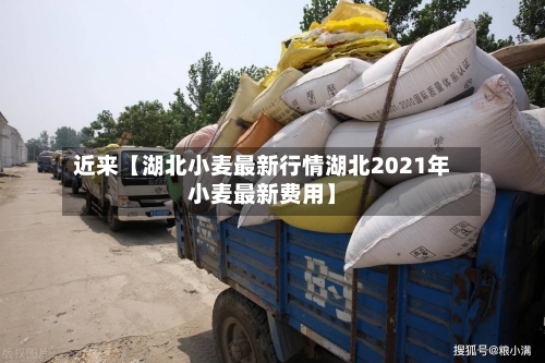 近来【湖北小麦最新行情湖北2021年小麦最新费用】