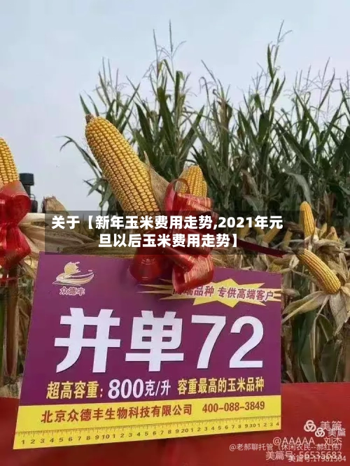 关于【新年玉米费用走势,2021年元旦以后玉米费用走势】-第2张图片