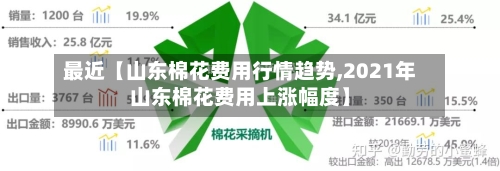 最近【山东棉花费用行情趋势,2021年山东棉花费用上涨幅度】