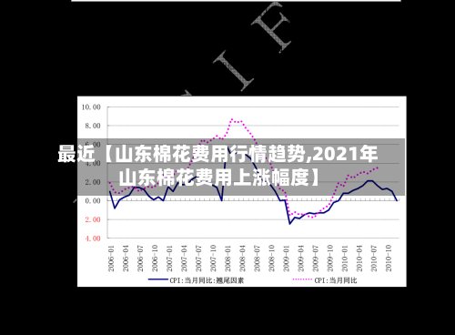 最近【山东棉花费用行情趋势,2021年山东棉花费用上涨幅度】-第2张图片