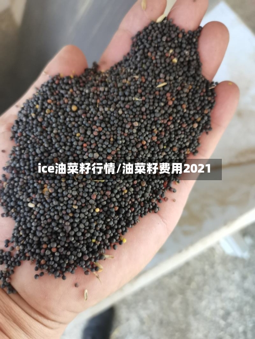 ice油菜籽行情/油菜籽费用2021-第3张图片