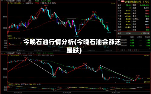 今晚石油行情分析(今晚石油会涨还是跌)-第3张图片