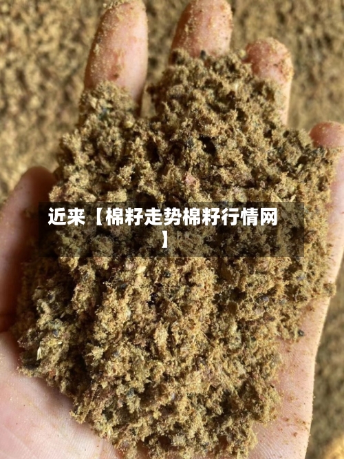 近来【棉籽走势棉籽行情网】-第3张图片