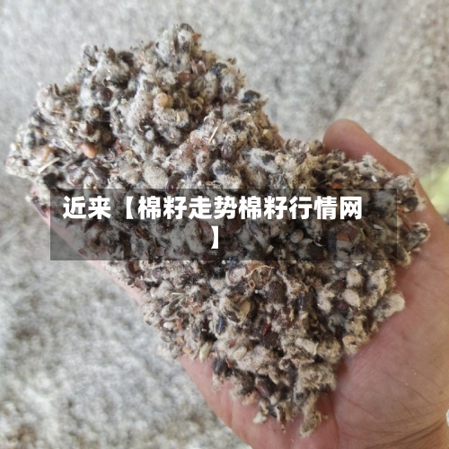 近来【棉籽走势棉籽行情网】