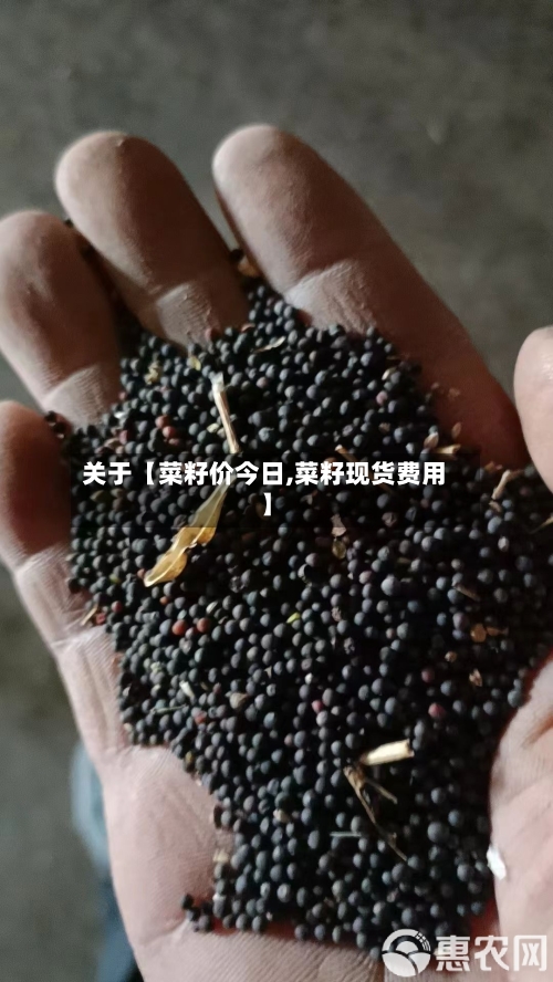 关于【菜籽价今日,菜籽现货费用】
