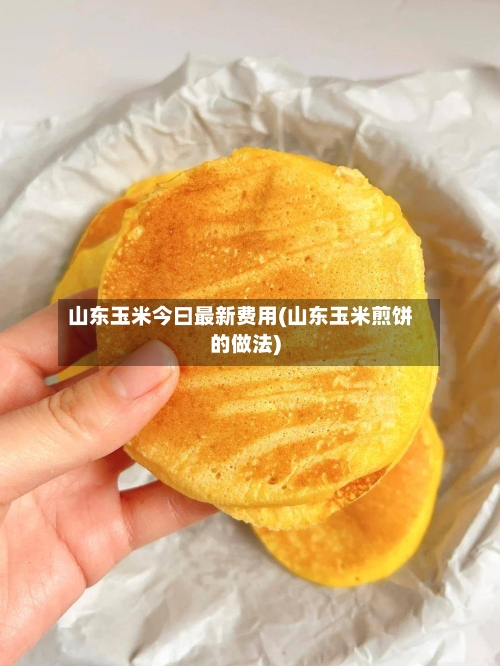 山东玉米今曰最新费用(山东玉米煎饼的做法)