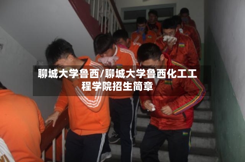 聊城大学鲁西/聊城大学鲁西化工工程学院招生简章