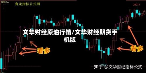 文华财经原油行情/文华财经期货手机版