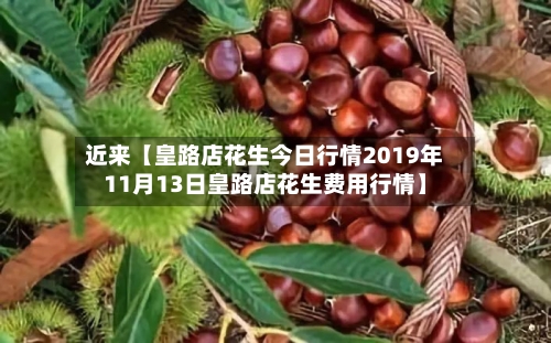 近来【皇路店花生今日行情2019年11月13日皇路店花生费用行情】-第3张图片