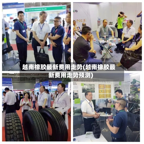 越南橡胶最新费用走势(越南橡胶最新费用走势预测)-第2张图片