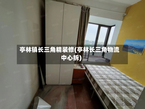 亭林镇长三角精装修(亭林长三角物流中心拆)