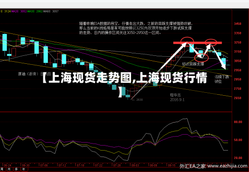 【上海现货走势图,上海现货行情】-第2张图片