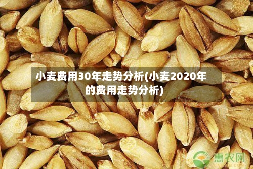 小麦费用30年走势分析(小麦2020年的费用走势分析)-第2张图片