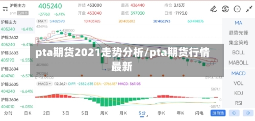 pta期货2021走势分析/pta期货行情最新-第2张图片