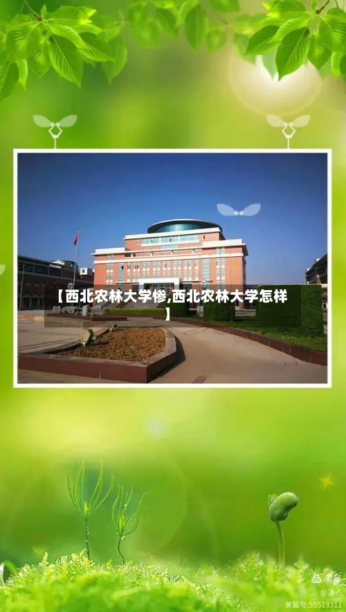 【西北农林大学惨,西北农林大学怎样】