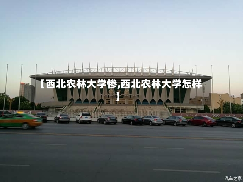 【西北农林大学惨,西北农林大学怎样】-第2张图片