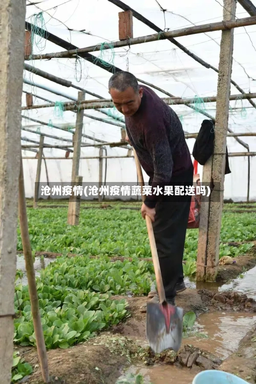 沧州疫情(沧州疫情蔬菜水果配送吗)-第2张图片