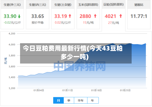 今日豆粕费用最新行情(今天43豆粕多少一吨)-第2张图片