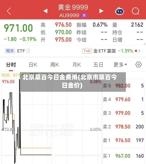北京菜百今日金费用(北京市菜百今日金价)