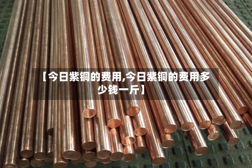 【今日紫铜的费用,今日紫铜的费用多少钱一斤】-第2张图片