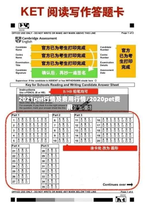2021pet行情及费用行情/2020pet费用-第2张图片