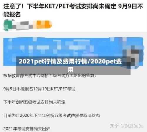 2021pet行情及费用行情/2020pet费用