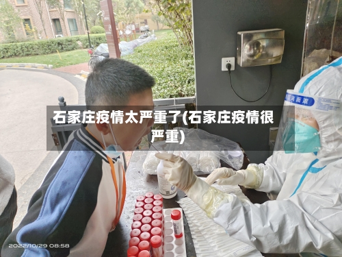 石家庄疫情太严重了(石家庄疫情很严重)-第2张图片