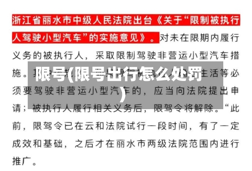限号(限号出行怎么处罚)-第3张图片