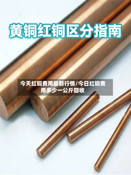 今天红铜费用最新行情/今日红铜费用多少一公斤回收