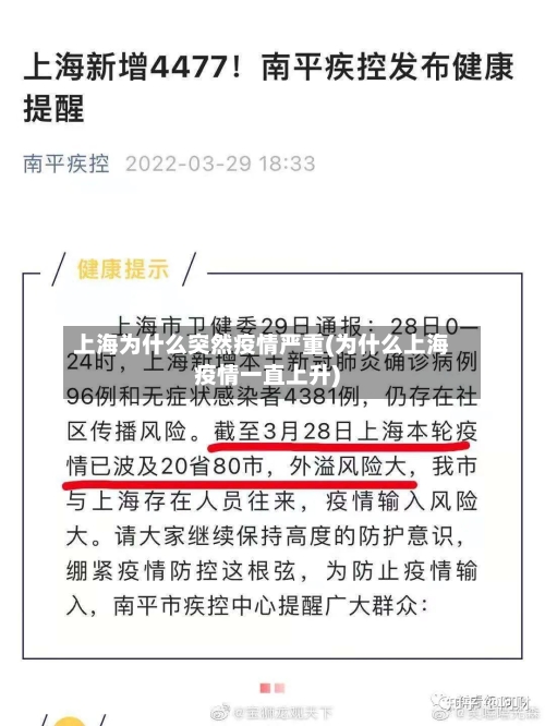 上海为什么突然疫情严重(为什么上海疫情一直上升)-第2张图片