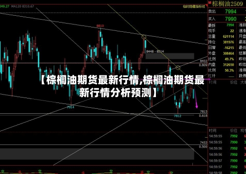 【棕榈油期货最新行情,棕榈油期货最新行情分析预测】-第2张图片