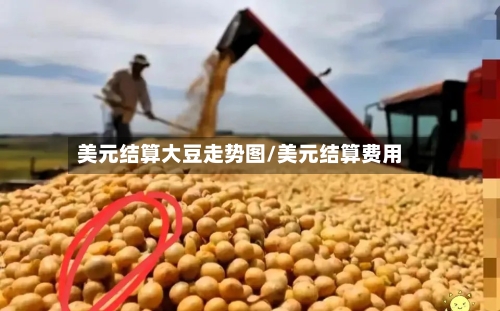 美元结算大豆走势图/美元结算费用