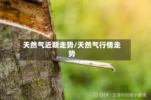 天然气近期走势/天然气行情走势-第2张图片