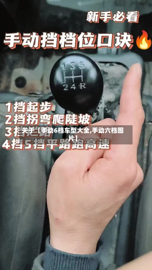 关于【手动6档车型大全,手动六档图片】