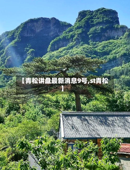 【青松讲盘最新消息9号,st青松】-第2张图片