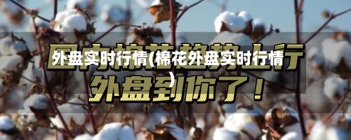 外盘实时行情(棉花外盘实时行情)-第3张图片