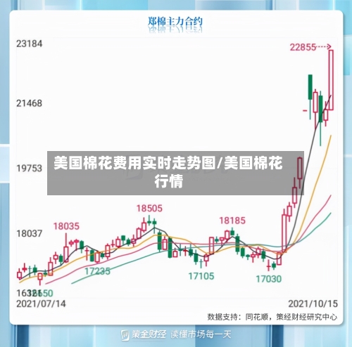 美国棉花费用实时走势图/美国棉花行情