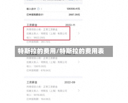 特斯拉的费用/特斯拉的费用表-第3张图片