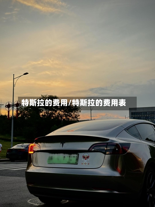 特斯拉的费用/特斯拉的费用表