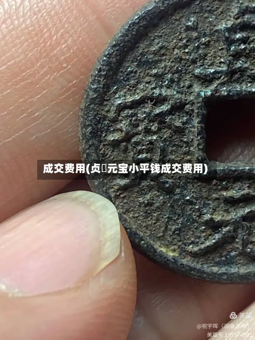 成交费用(贞祐元宝小平钱成交费用)-第3张图片