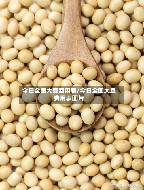 今日全国大豆费用表/今日全国大豆费用表图片