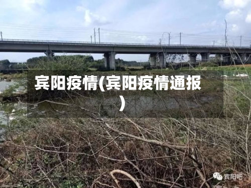 宾阳疫情(宾阳疫情通报)