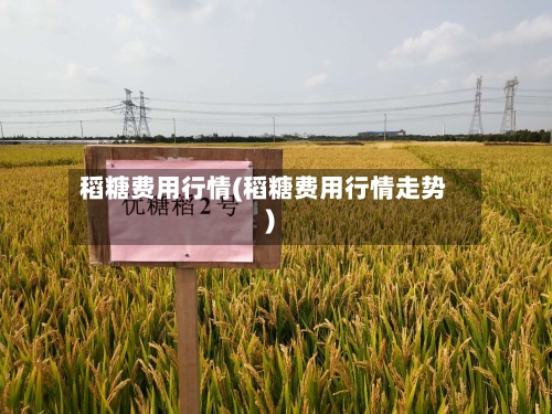 稻糖费用行情(稻糖费用行情走势)