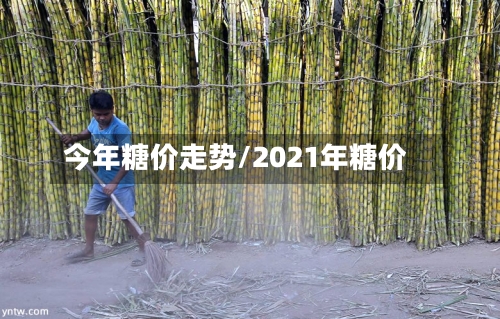 今年糖价走势/2021年糖价-第2张图片