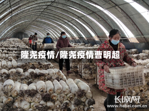 隆尧疫情/隆尧疫情曹明超