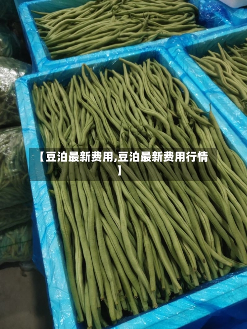 【豆泊最新费用,豆泊最新费用行情】