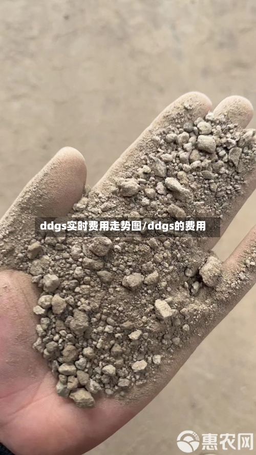 ddgs实时费用走势图/ddgs的费用