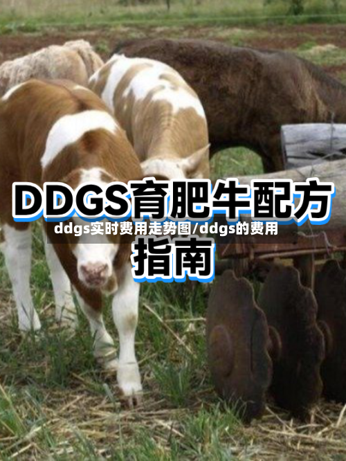ddgs实时费用走势图/ddgs的费用-第3张图片