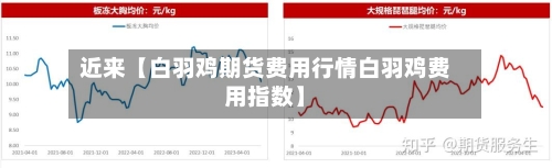 近来【白羽鸡期货费用行情白羽鸡费用指数】-第3张图片