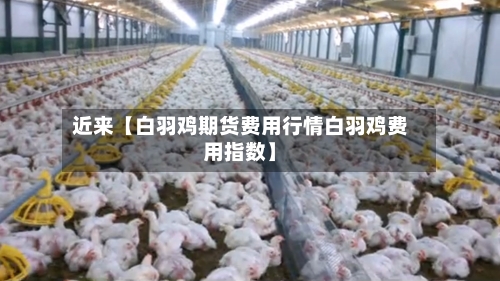 近来【白羽鸡期货费用行情白羽鸡费用指数】-第2张图片